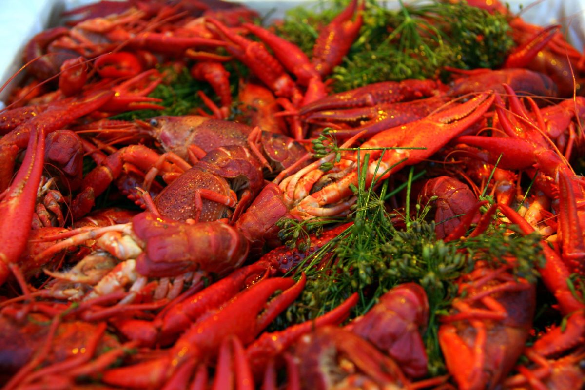 Cooked_crayfish_with_dill
